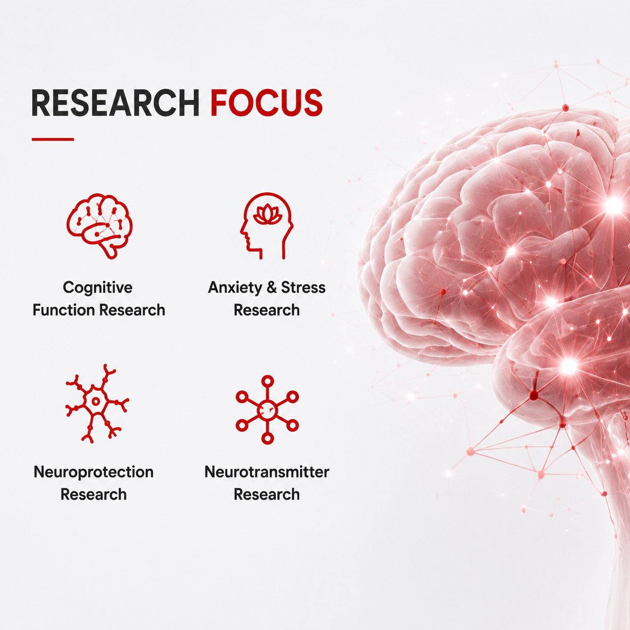 Selank – Research Peptide